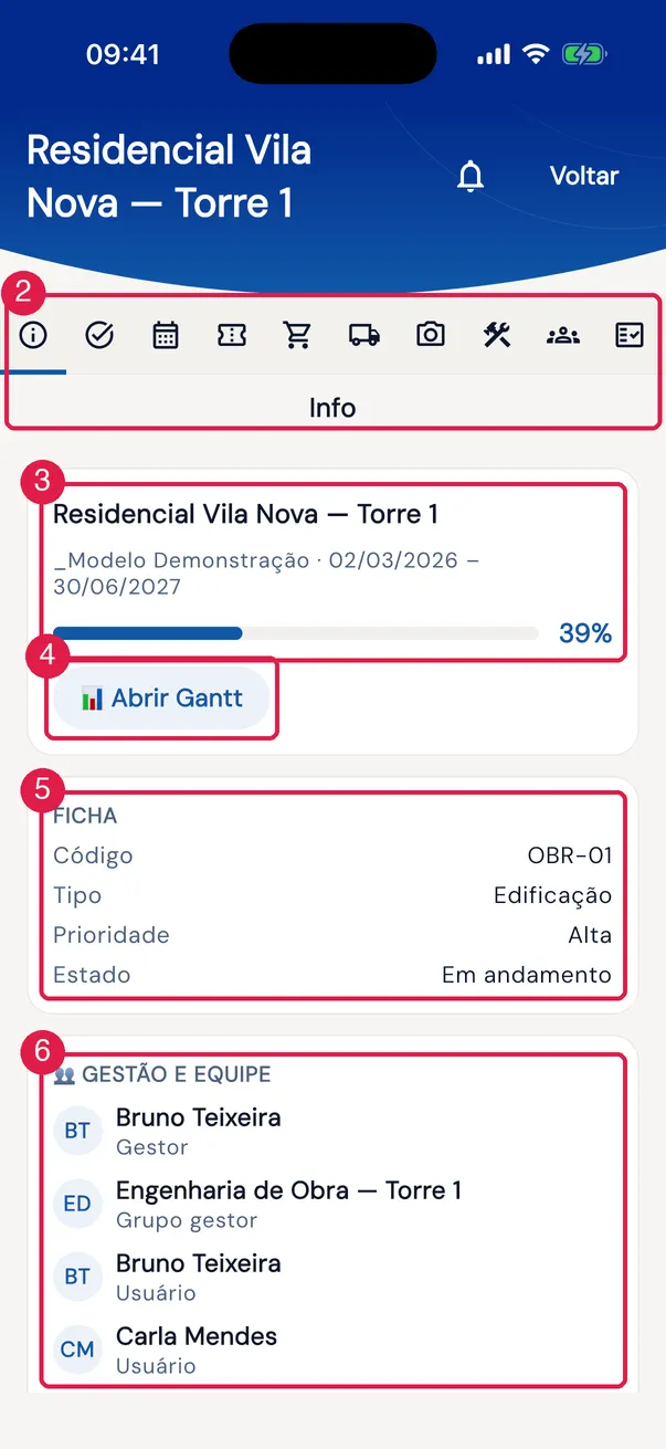 A aba Info de um projeto.