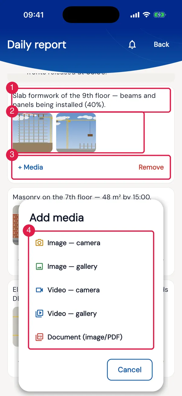 An activity with photos and Add media opened by + Media.