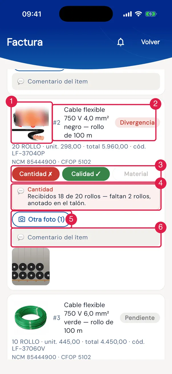 Un ítem visto por el receptor: la imagen de referencia, los datos, la verificación en chips y el comentario de la verificación.
