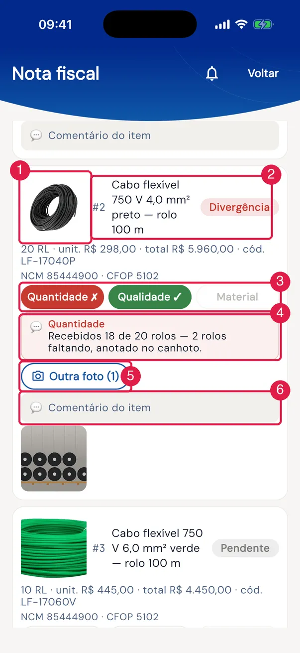 Um item visto pelo conferente: a imagem de referência, os dados, a conferência em chips e o comentário da verificação.