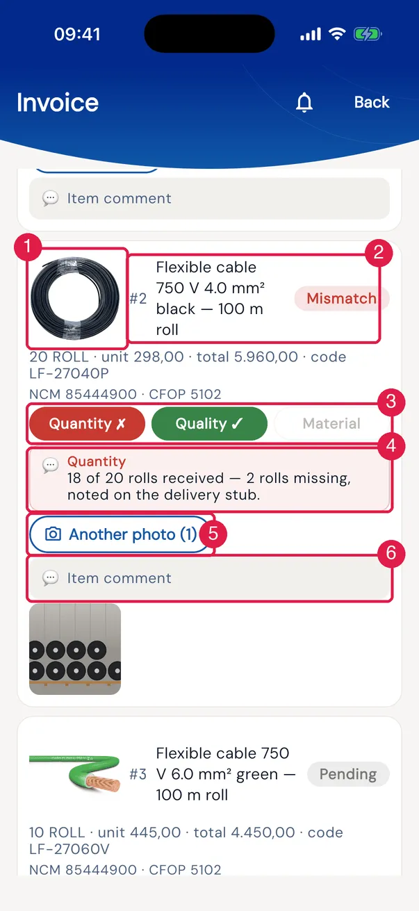 An item as seen by the receiver: the reference image, the data, the check in chips and the check comment.