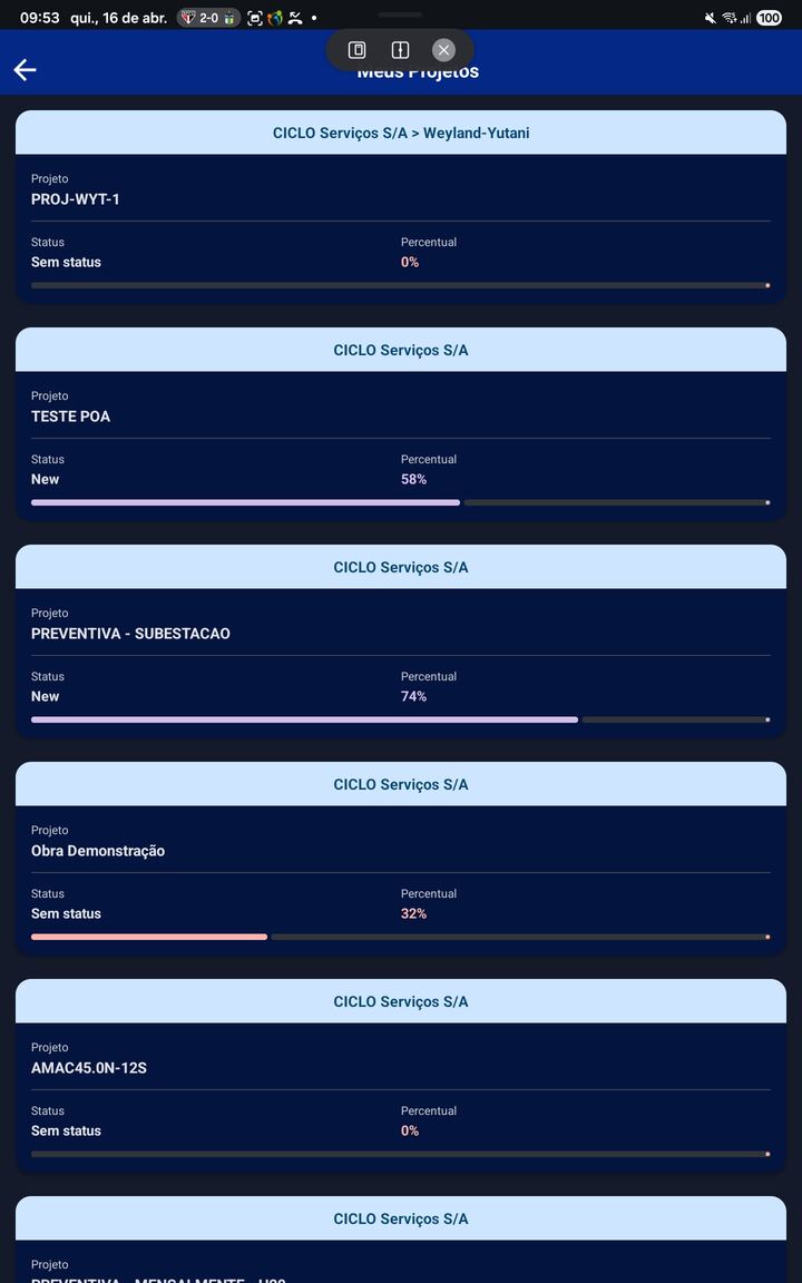 Gráfico de Gantt do H2O Field Service com cronograma de projeto e tarefas — versão mobile